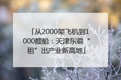 从2000架飞机到1000艘船：天津东疆“租”出产业新高地